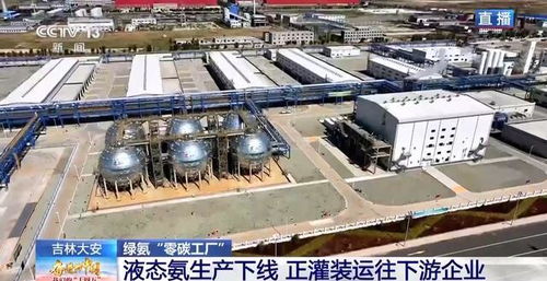 零碳工廠 新能源“就地生金”，全鏈條綠色消納體系引領未來